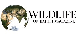 Wildlife On Earth